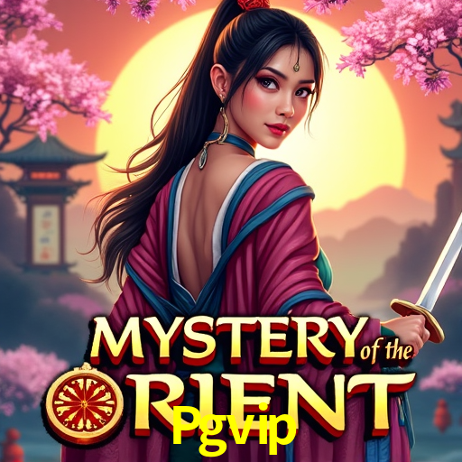 Experimente o Login Seguro Premium no Pgvip